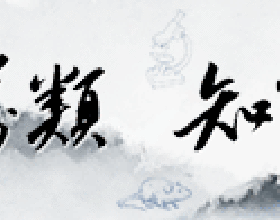 “電餅鐺大王”二度衝刺！巨頭之下，利仁科技能找到新出路嗎？| IPO見聞