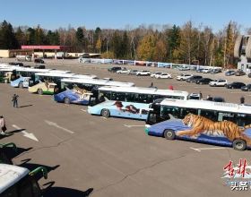 長白山北景區10輛野生動物塗鴉巴士正式上線運營，迅速成為遊客眼中一道靚麗風景