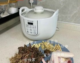 春節特刊藥膳：羊肉（三）