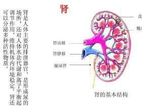 我的寒假減肥計劃沖沖衝捲起