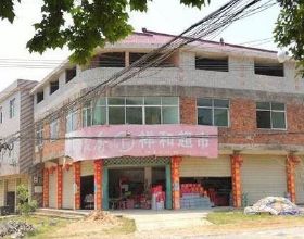 圖集 | 雪地裡的“小老虎”萌化了