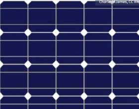 揮杆垂釣，&quot&semi;魚&quot&semi;你競技，米級野戰釣魚友誼賽圓滿成功