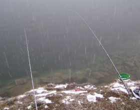 開花比臉還大的朱頂紅，開出朵朵&OpenCurlyDoubleQuote;吉祥花&rdquo;，顏色紅紅火火真熱鬧