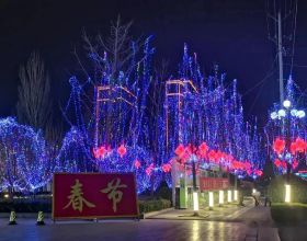 《光環》真人劇集尚未播出就已獲得第二季續訂