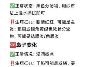 2022年NBA舉辦地在哪？詹姆斯歐文重回舊主