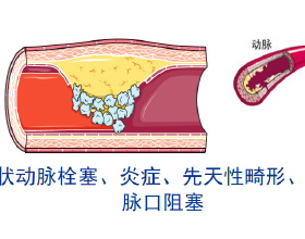 大年初四年了，教你做12道家常菜，簡單易做，不用再為做飯犯愁