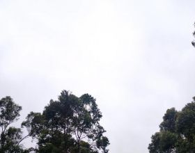 25軍74師抗美援朝老照片