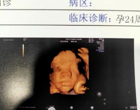 大獲全勝！國乒勁敵帶隊3-0橫掃對手，波爾有望約戰林昀儒、雨果