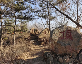 國產手機公佈兩個專利，小米拍月亮，OPPO無挖孔全面屏設計