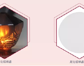 自動化的藝術：保險自動化