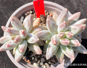 早晨空腹喝水，究竟能不能這樣做？讓我們來聽聽醫生怎麼說