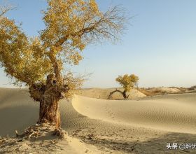 新疆沙漠腹地只有20多戶人家的村寨，不種不牧，他們靠什麼生存？