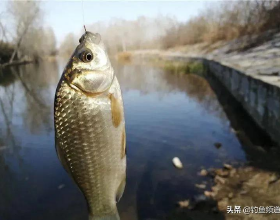 總檯駐蒙古國節目製作室總監被授予烏蘭巴托市“榮譽勳章”