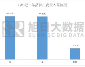 TWS 入耳式新機佔比超70%，中國入耳式TWS佔比超51%