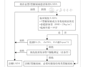 八段錦、站樁打卡第三天