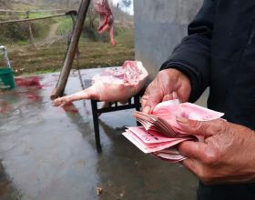 賣2000元豬肉，農民被罰10萬，打官司還輸了，自己養的豬不能賣嗎