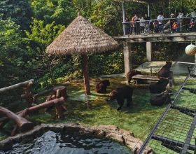 教育部通知，新增六天假期席捲中小學生，學生：幸福從天而降