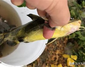 30萬億美元債務，鑄造出俄羅斯輪盤賭的子彈，頂上了美國人的腦袋