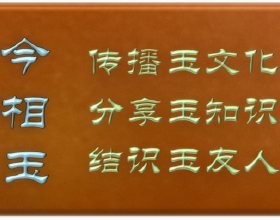 5種適合新手花盆種植的蔬菜！簡單易上手，你也可以輕鬆學會