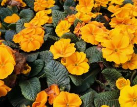 高情商的男人，說話就是不一樣