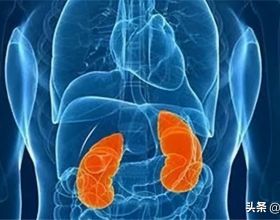 腎功能受損有哪些徵兆？醫生：除了泡沫尿，這幾種症狀也要警惕