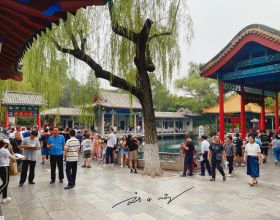 山東省濟南市的“名泉之冠”，是國家5A級旅遊景區，名字卻很奇怪