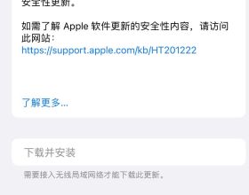 本人蘋果12pro Max 15.0.2評測