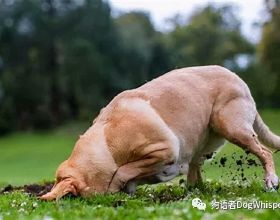 農村“變味”的5件事，習俗已成為“低俗”！農民：誰能來管管？