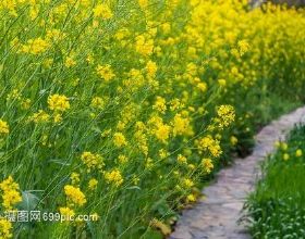 哈弗M6 PLUS柳巖聯名版：旅行的路上有柳巖，從此生活只有甜