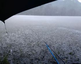 入秋下雨天釣魚，釣深還是釣淺，就看這兩個指標了