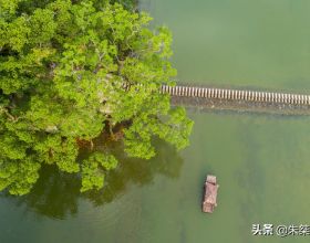 泰順，除了蜚聲中外的古廊橋，還有被譽“浙南小九寨”的自然景觀