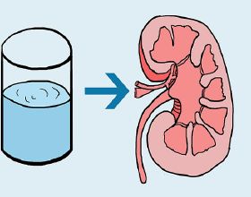 喝水越多尿越多，腎臟壓力就會越大？闢謠：“喝多少”是一門學問