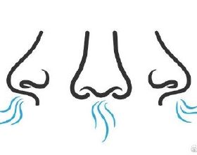 我們的兩個鼻孔是均等呼吸嗎？