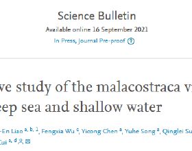 Science Bulletin：崔傑組發表了深淺海軟甲綱動物比較病毒組學分析成果