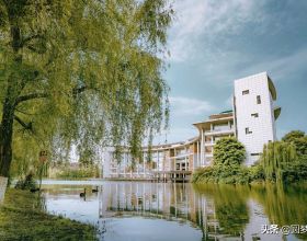 四川省39所一本大學，2021理科錄取分數線排名