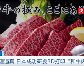 太逼真了！日本成功3D列印“和牛肉”：1克成本570元！在高階餐廳，真和牛肉賣這個價...