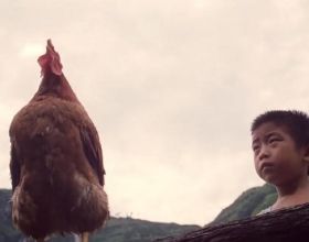 6歲男孩竟然能把雞練得比狗還聽話，能飛天，能治病，催淚國產片
