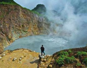 分享7道“吃不胖”的低脂菜，一週7天不重樣，又瘦又美過春天