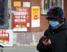 「猛獁牙至尊五龍戲珠」印章