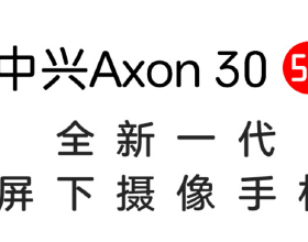 魏鳳和同沙烏地阿拉伯國防副大臣視訊通話