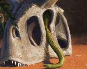 自然科學：滅絕恐龍的災星竟是蛇類繁盛的福星