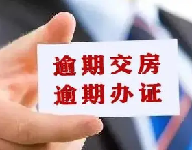 聚合資料左磊從斯坦福休學回國創業 大資料行業整頓至今公司未上市