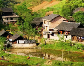 90後小夫妻的婚房火了，將家變成植物園，網友：我也想嫁給他
