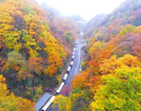 四川旅行｜川東最美賞秋地，光霧山的漫山紅葉即將就位
