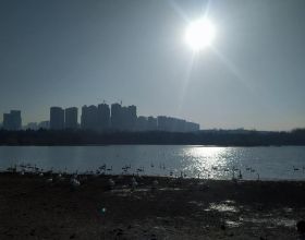 乒乓球業餘愛好者，打球的合理性有多重要