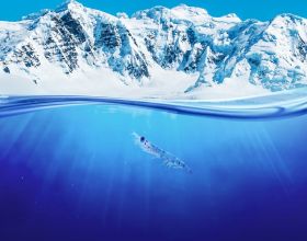 南極磷蝦：來自海洋的可持續性解決方案
