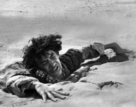 打造休閒的陽光房，讓你體驗摘菊花，看南山的生活