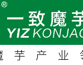 夜讀｜我的大學同學去世了
