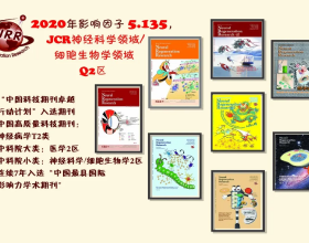 一個滿分的客廳，應該具備5個“人性化設計”，建議提前收藏