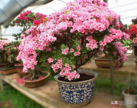 日軍贏面，美軍賺裡——聖克魯斯：耗盡日本未來的大海戰